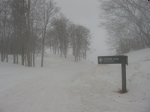 パノラマコース入り口(P1)の標識