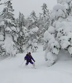 パウダースノーをけ散らす パウダースノーをけ散らす