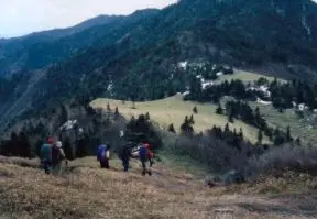 狼平へ笹原の中を行く