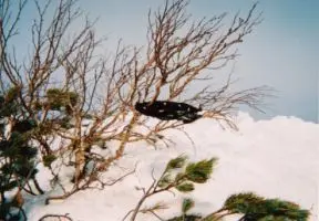 知床岳「70周年記念バンダナよ、永遠なれ!」