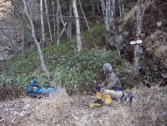 ツルネ東稜の道標がついています ツルネ東稜の道標がついています