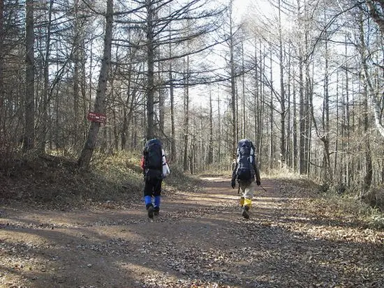 最後の林道です 最後の林道です