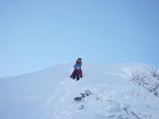 天に向かって進む