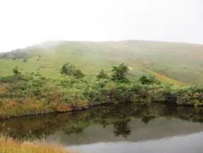 稜線の池塘 稜線の池塘